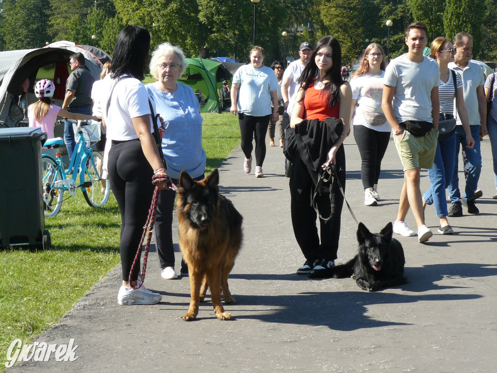 Wystawa psów w parku w Świerklańcu [FOTO]