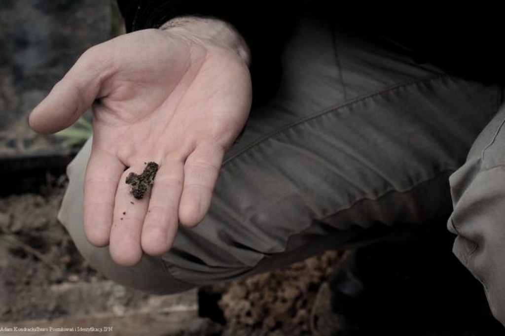 Tarnowskie Góry. Pracownicy IPN-u na cmentarzu