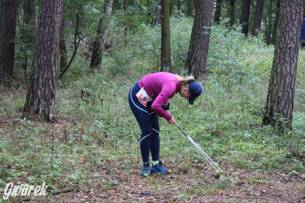 Tarnowskie Góry. Mistrzostwa Polski nordic walking [GALERIA]