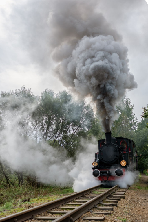 Z Bytomia do Tarnowskich Gór, po drodze kontrola graniczna [FOTO]