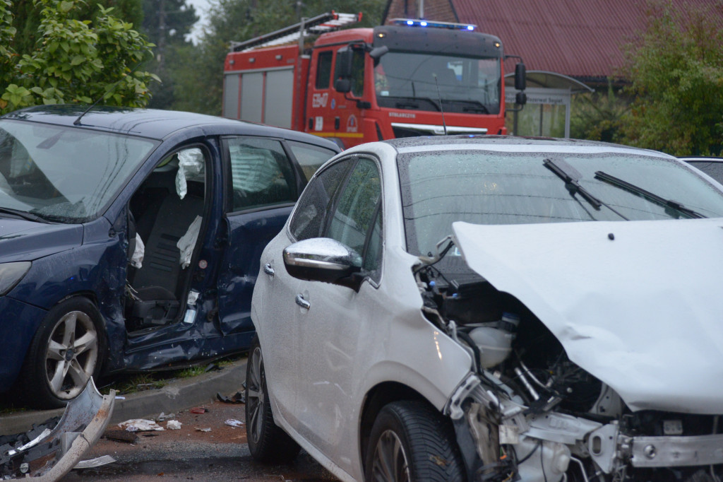Tarnowskie Góry. Wypadek w Reptach Śląskich