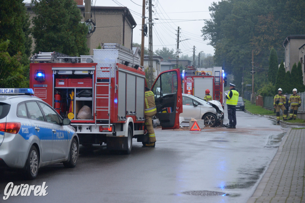 Tarnowskie Góry. Wypadek w Reptach Śląskich