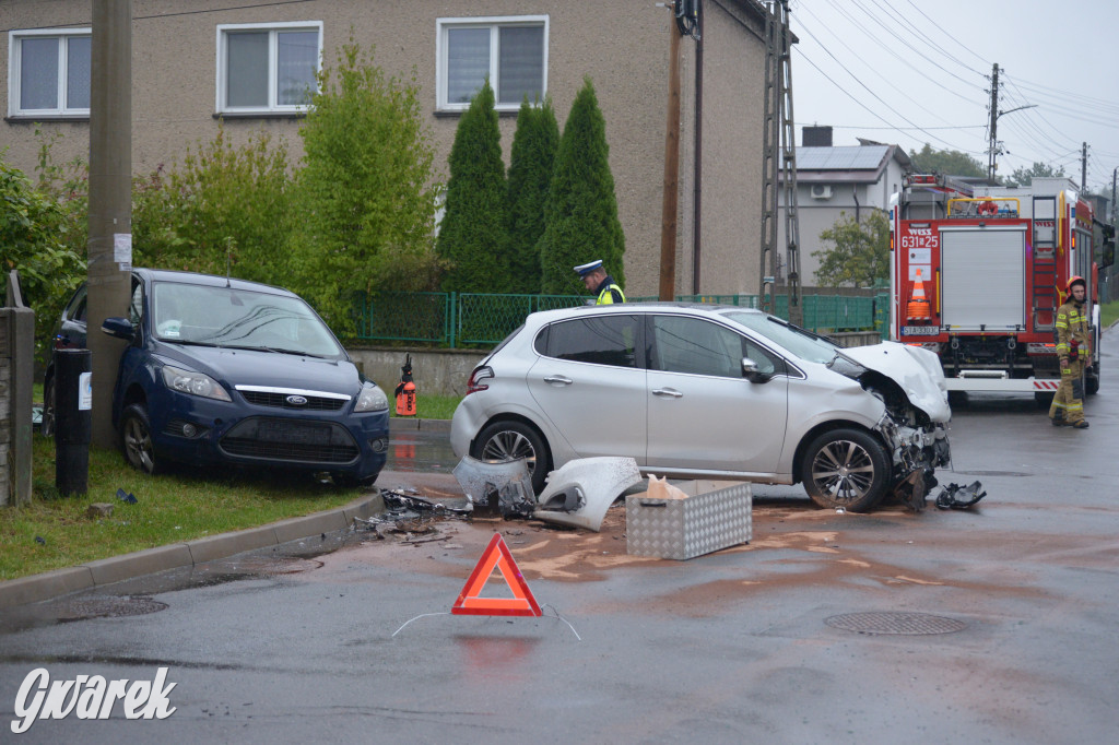 Tarnowskie Góry. Wypadek w Reptach Śląskich