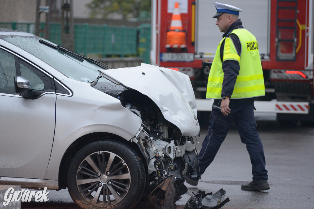 Tarnowskie Góry. Wypadek w Reptach Śląskich