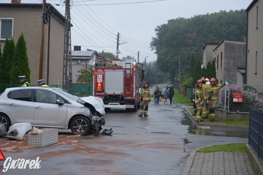 Tarnowskie Góry. Wypadek w Reptach Śląskich
