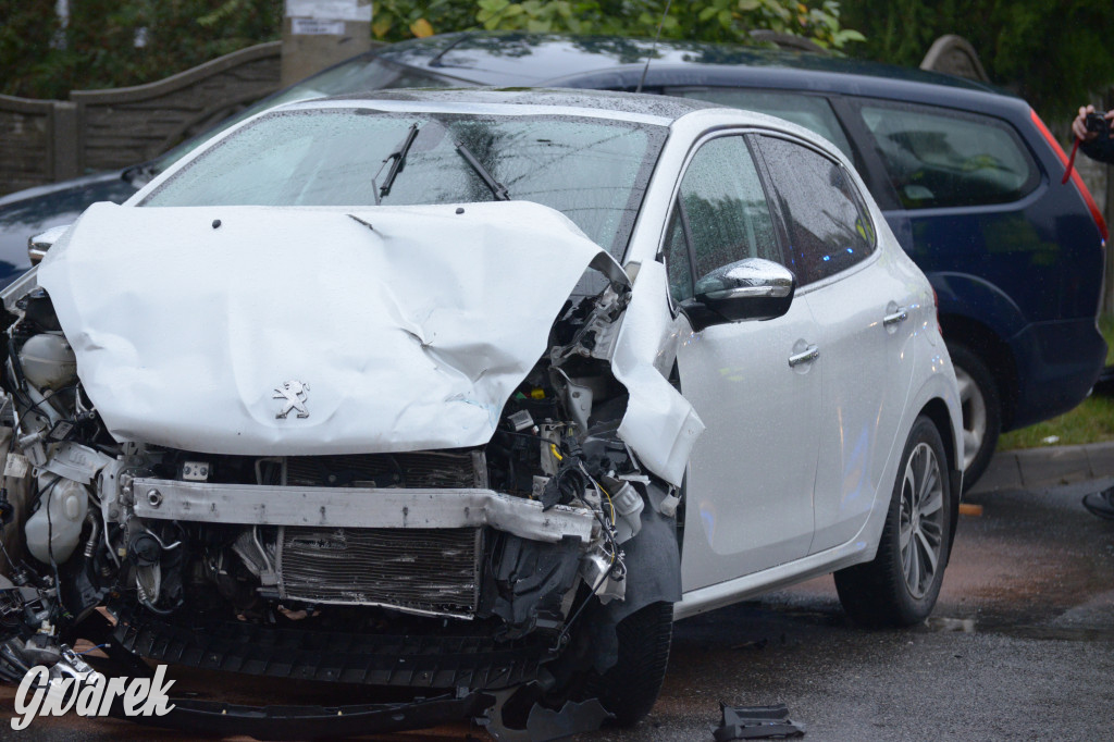 Tarnowskie Góry. Wypadek w Reptach Śląskich