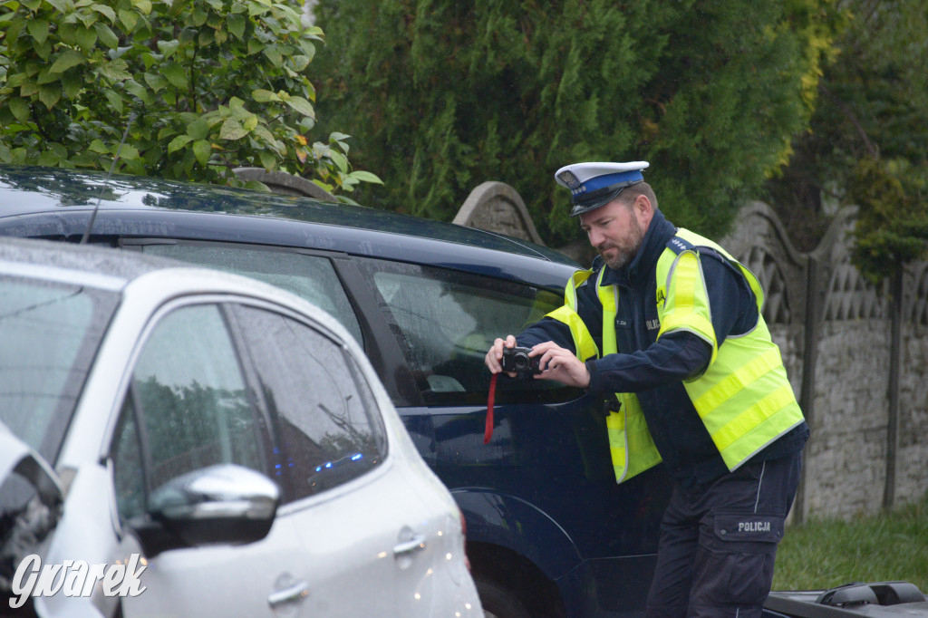 Tarnowskie Góry. Wypadek w Reptach Śląskich