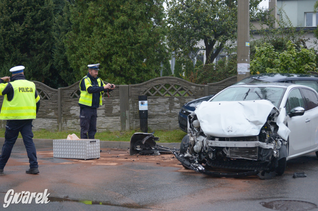 Tarnowskie Góry. Wypadek w Reptach Śląskich