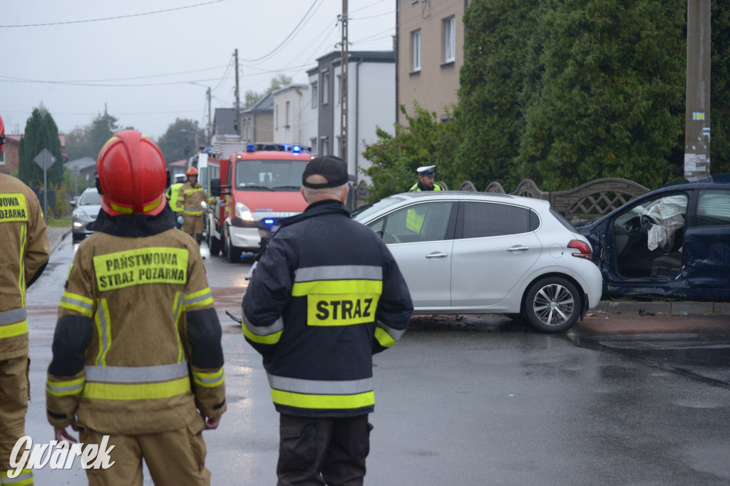 Tarnowskie Góry. Wypadek w Reptach Śląskich