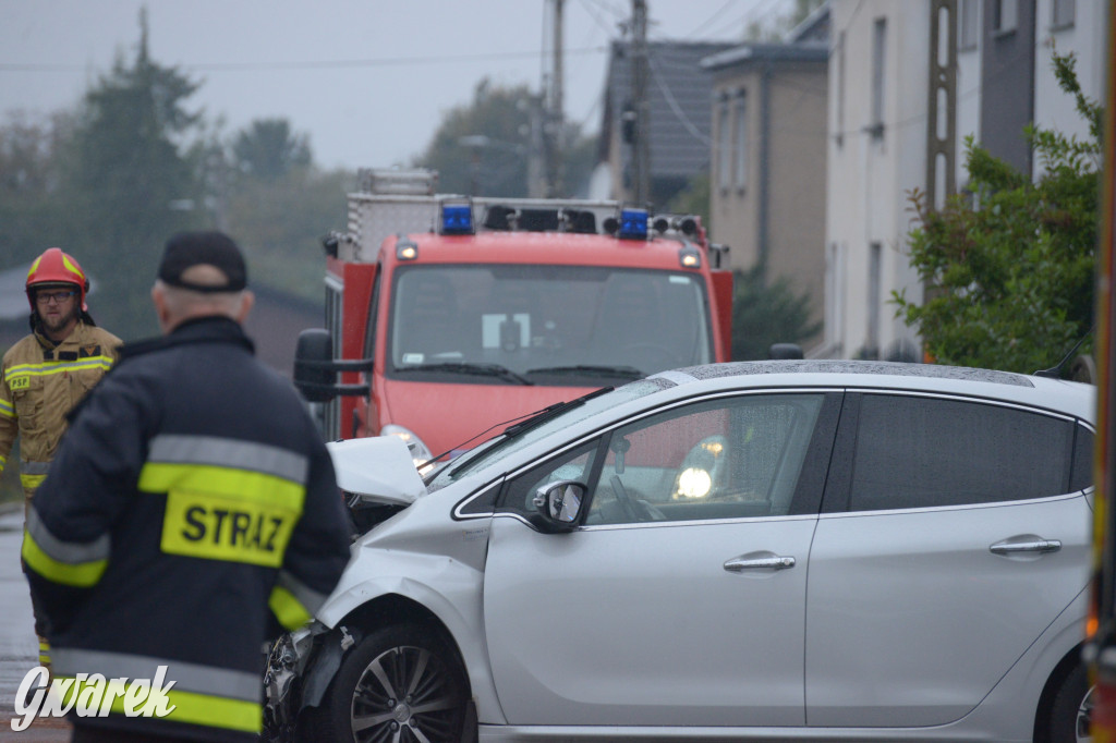 Tarnowskie Góry. Wypadek w Reptach Śląskich