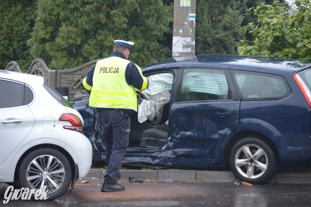 Tarnowskie Góry. Wypadek w Reptach Śląskich