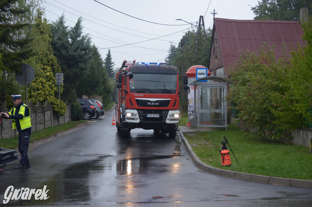Tarnowskie Góry. Wypadek w Reptach Śląskich