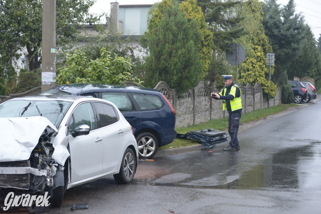 Tarnowskie Góry. Wypadek w Reptach Śląskich