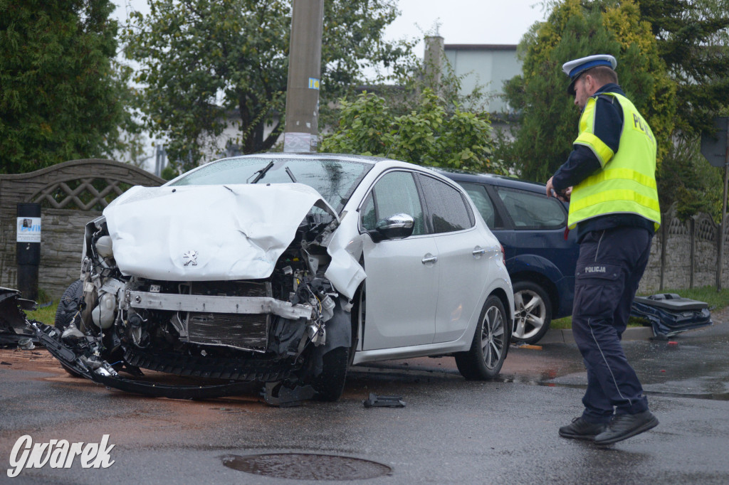 Tarnowskie Góry. Wypadek w Reptach Śląskich