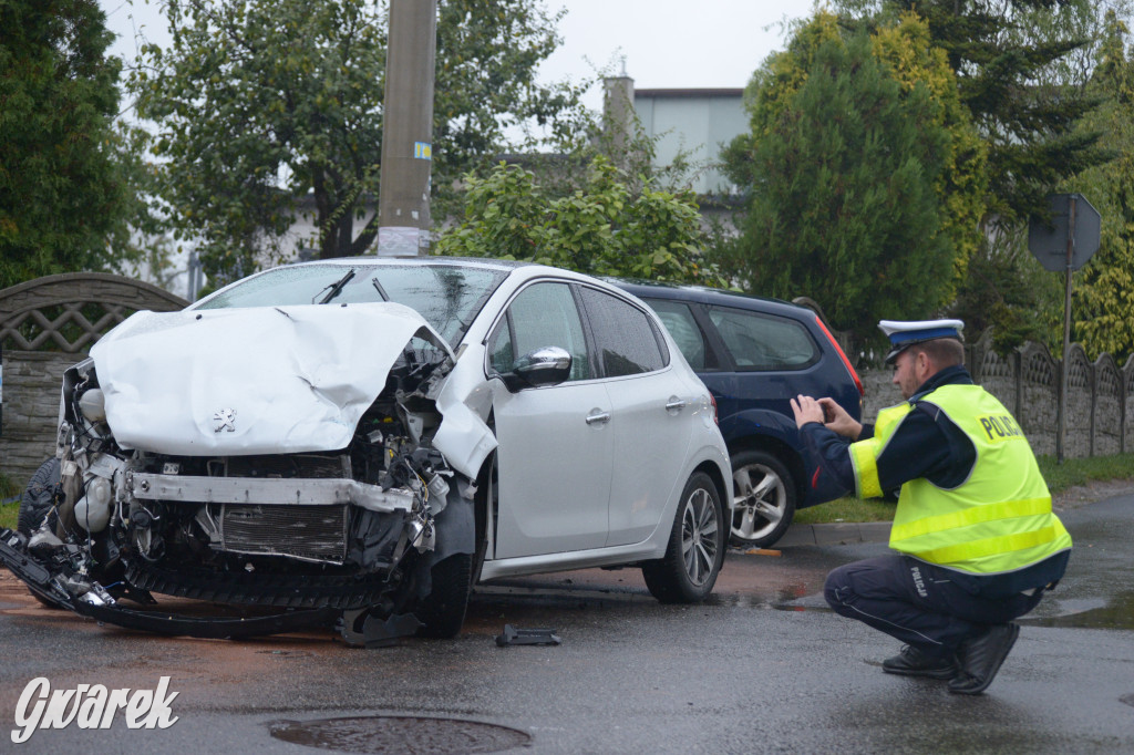 Tarnowskie Góry. Wypadek w Reptach Śląskich