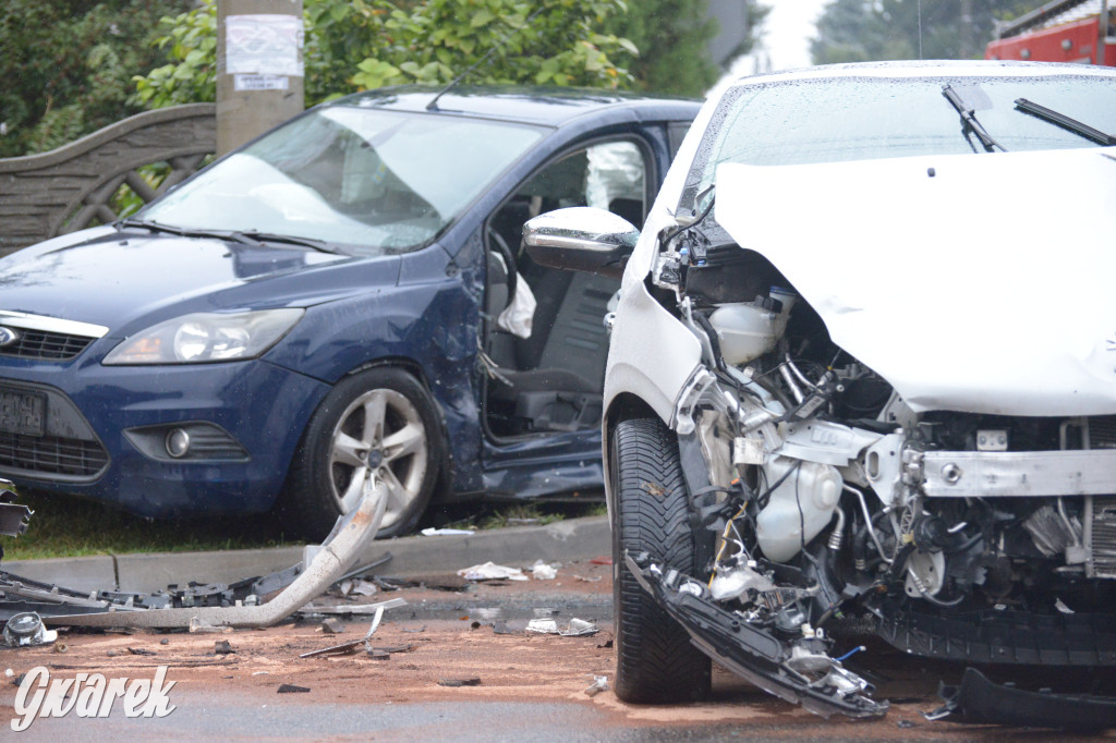 Tarnowskie Góry. Wypadek w Reptach Śląskich