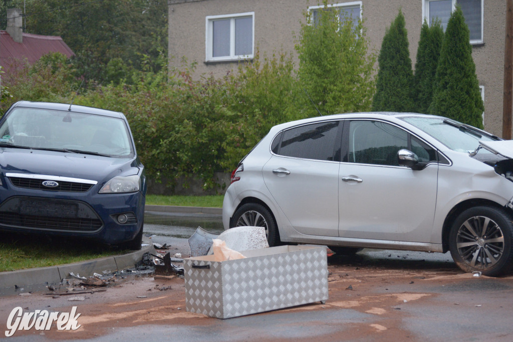 Tarnowskie Góry. Wypadek w Reptach Śląskich