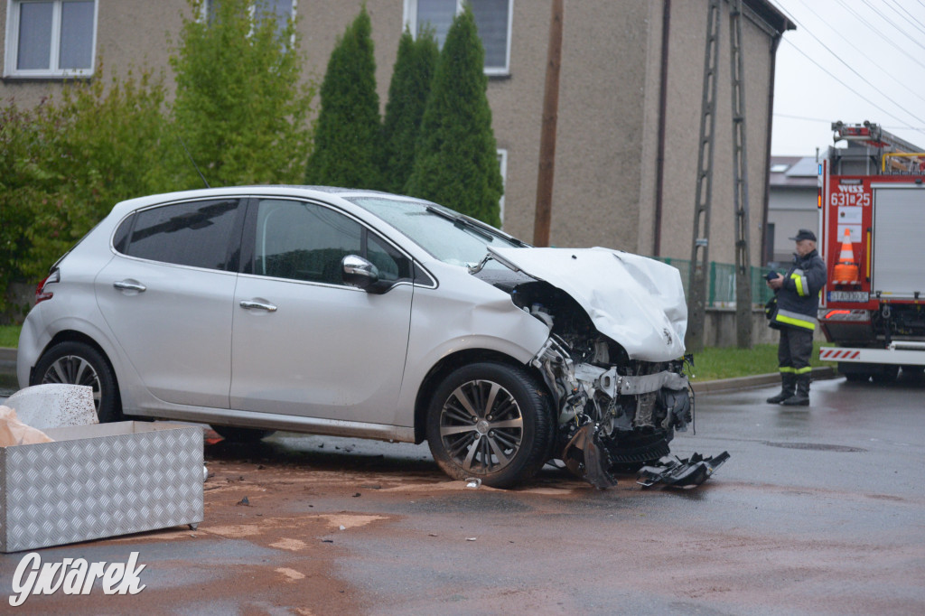 Tarnowskie Góry. Wypadek w Reptach Śląskich