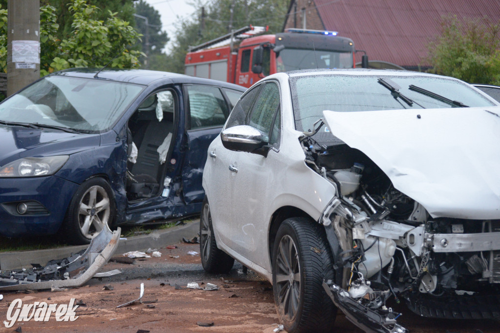 Tarnowskie Góry. Wypadek w Reptach Śląskich
