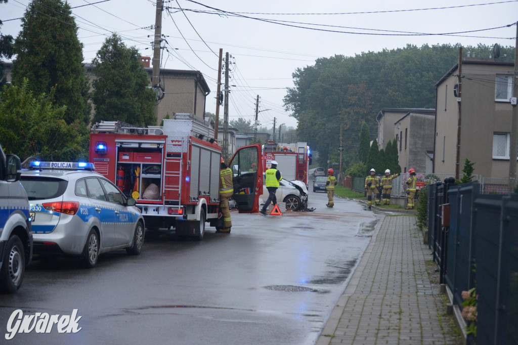 Tarnowskie Góry. Wypadek w Reptach Śląskich