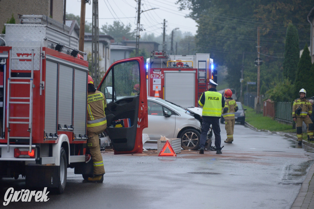 Tarnowskie Góry. Wypadek w Reptach Śląskich