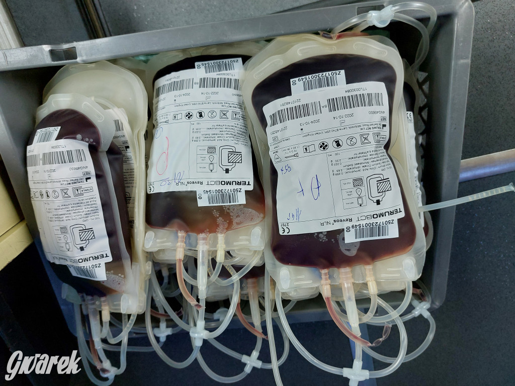 Krwawa akcja kamiliańskiej orkiestry i jej przyjaciół [FOTO]