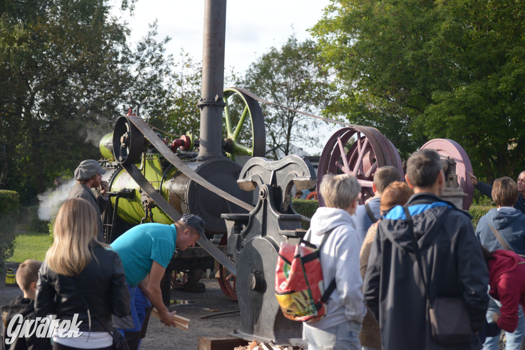 Tarnowskie Góry. Święto Pary 2023