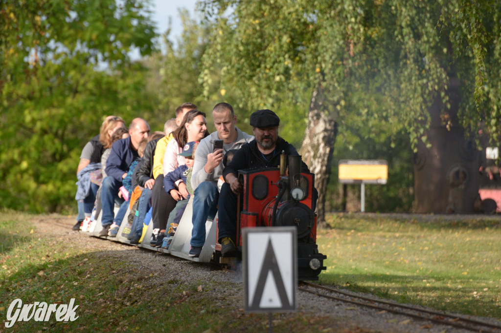 Tarnowskie Góry. Święto Pary 2023