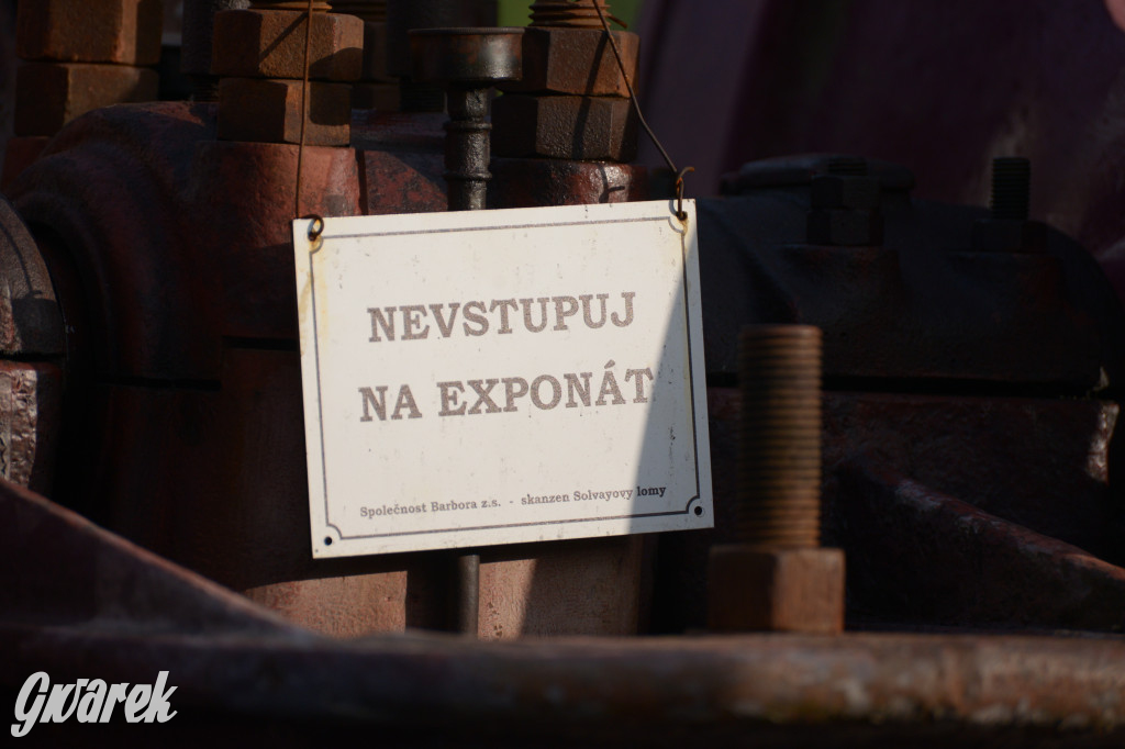 Tarnowskie Góry. Święto Pary 2023