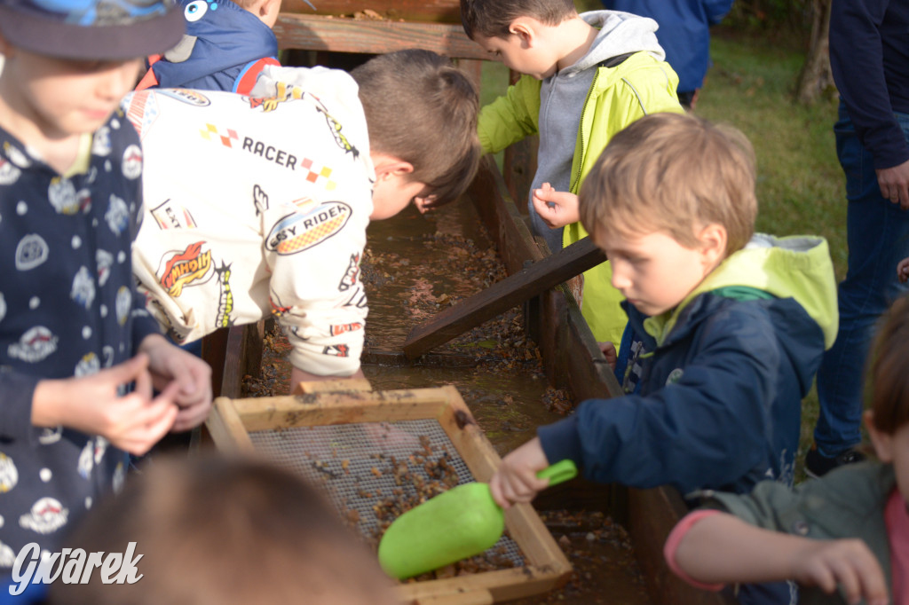 Tarnowskie Góry. Święto Pary 2023