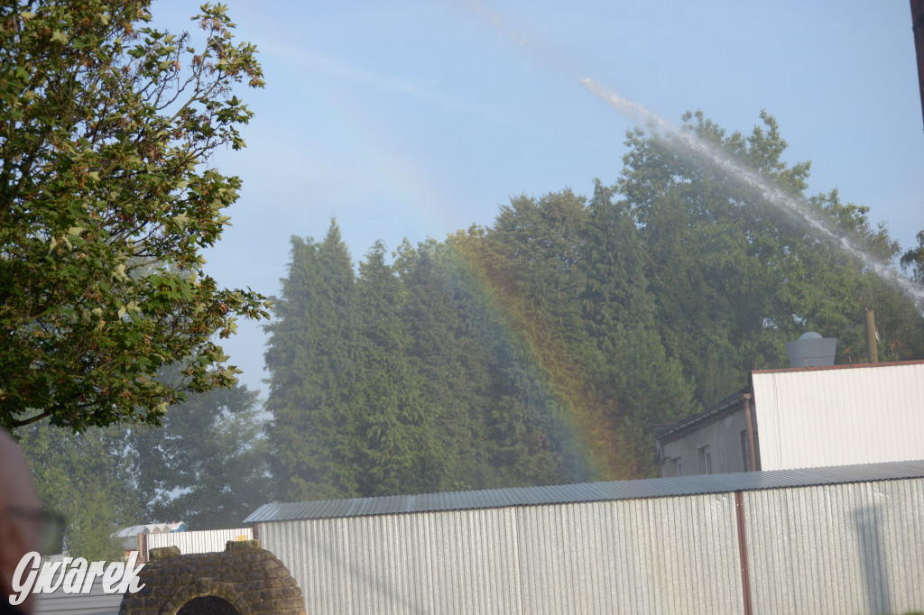 Tarnowskie Góry. Święto Pary 2023