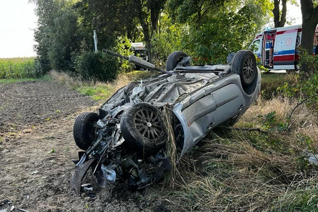 Wjechał renault w drzewo, potem dachował