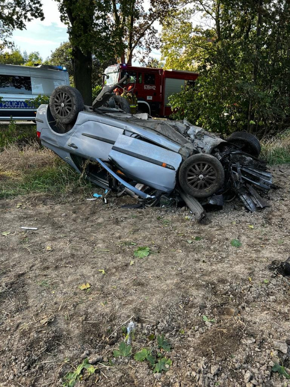 Wjechał renault w drzewo, potem dachował