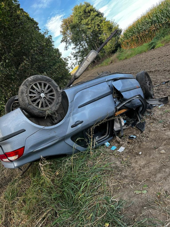 Wjechał renault w drzewo, potem dachował