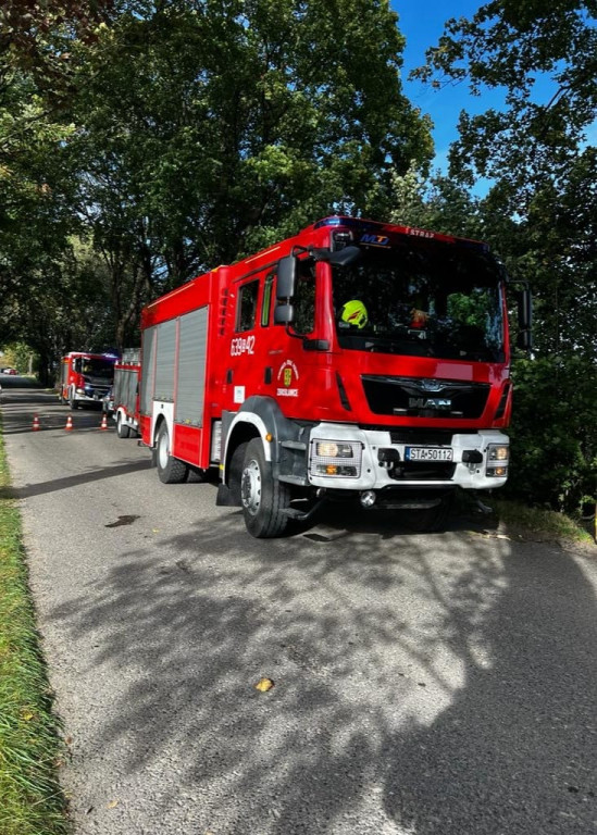 Wjechał renault w drzewo, potem dachował