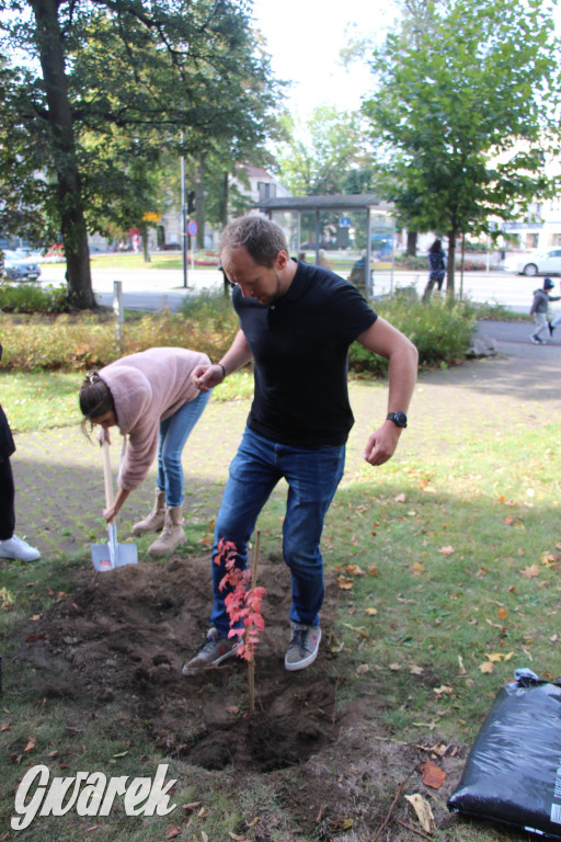 Tarnowskie Góry. Przy Staszicu młodzież posadziła 16 drzew [GALERIA]