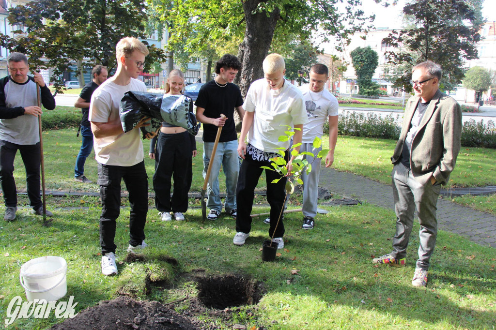 Tarnowskie Góry. Przy Staszicu młodzież posadziła 16 drzew [GALERIA]