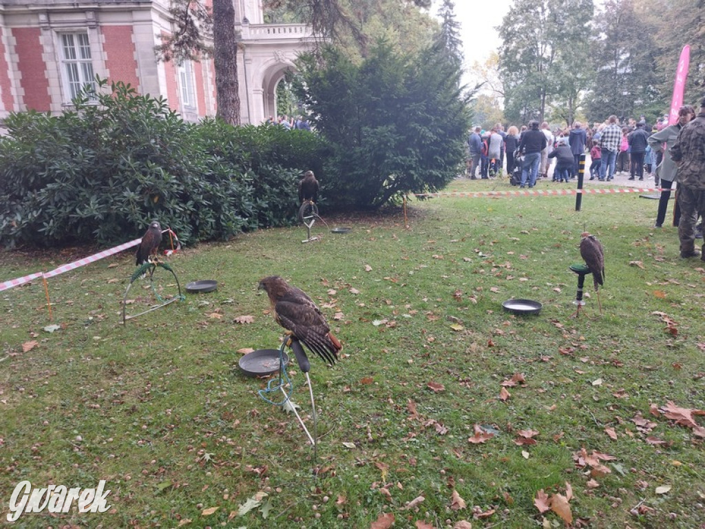 Jubileuszowy hubertus w Świerklańcu