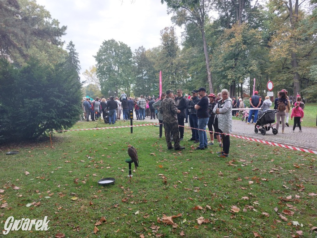 Jubileuszowy hubertus w Świerklańcu