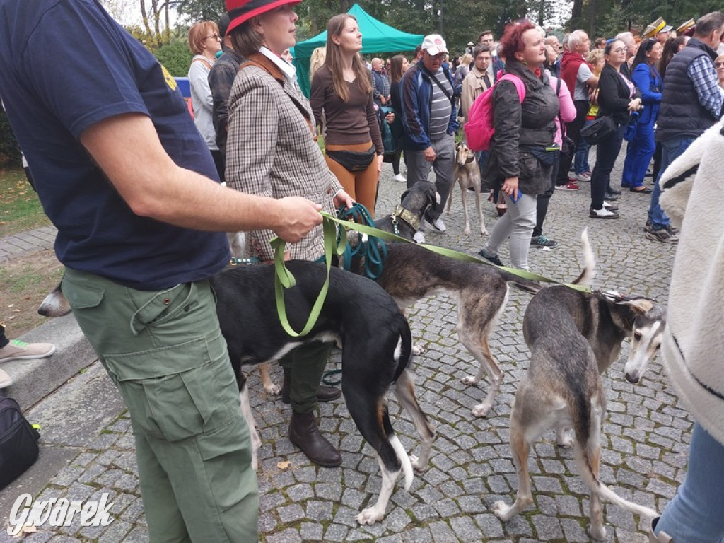 Jubileuszowy hubertus w Świerklańcu