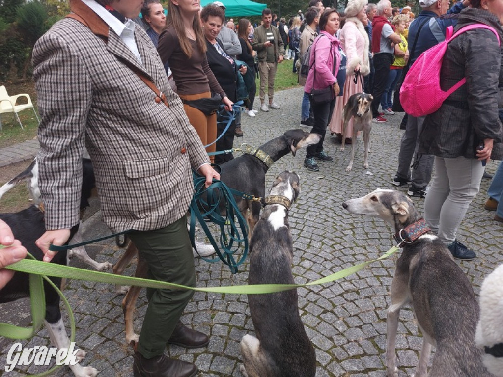 Jubileuszowy hubertus w Świerklańcu