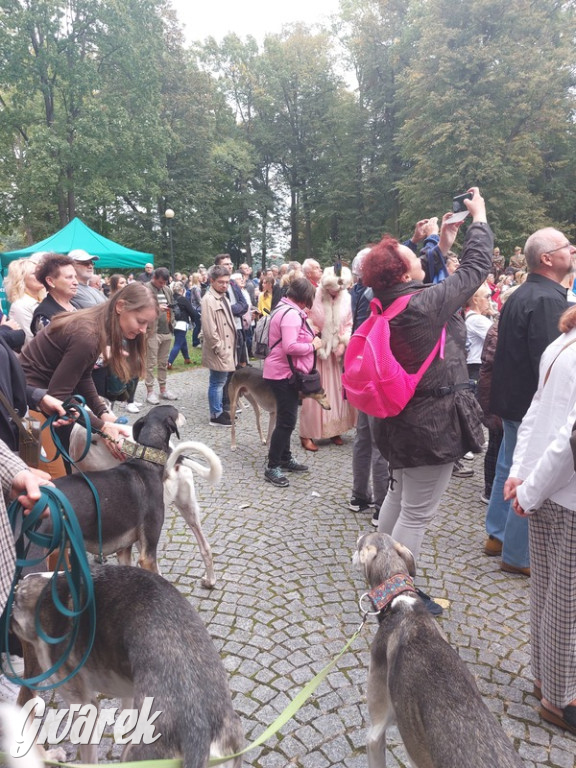 Jubileuszowy hubertus w Świerklańcu