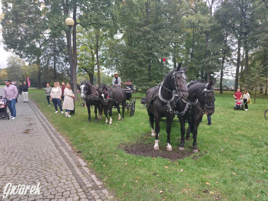 Jubileuszowy hubertus w Świerklańcu