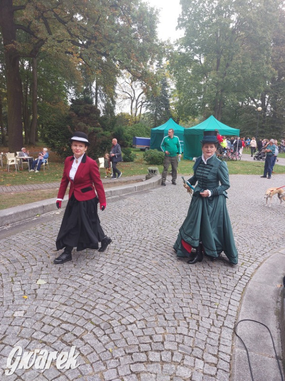 Jubileuszowy hubertus w Świerklańcu