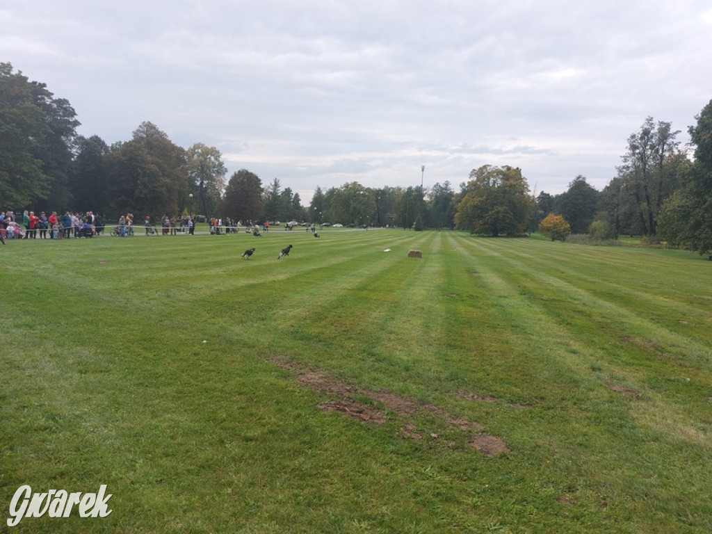 Jubileuszowy hubertus w Świerklańcu