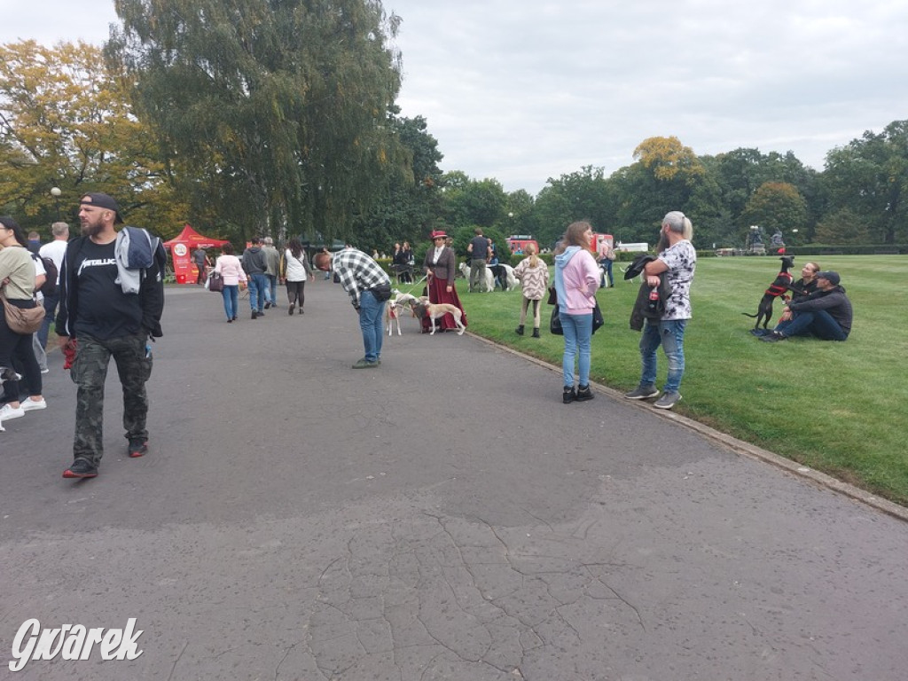 Jubileuszowy hubertus w Świerklańcu