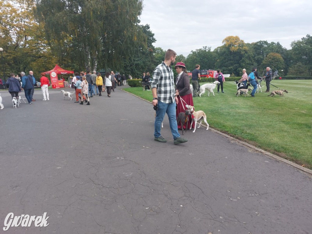 Jubileuszowy hubertus w Świerklańcu