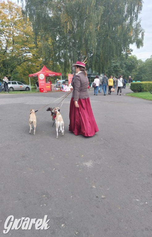 Jubileuszowy hubertus w Świerklańcu