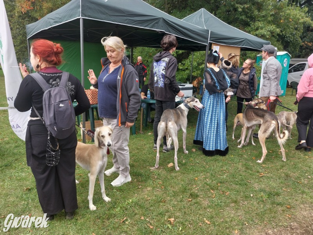 Jubileuszowy hubertus w Świerklańcu