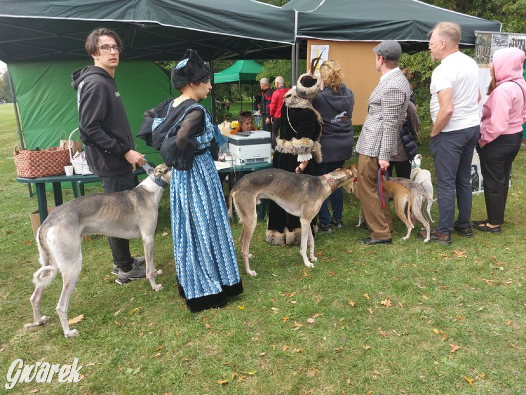 Jubileuszowy hubertus w Świerklańcu